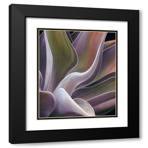 Agave Summer Abstract Black Modern Wood Framed Art Print with Double Matting by Wechsler, Robin