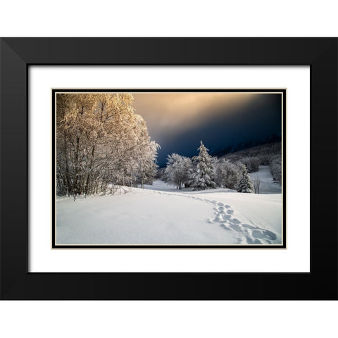 Path Black Modern Wood Framed Art Print with Double Matting by Baudot, Christophe