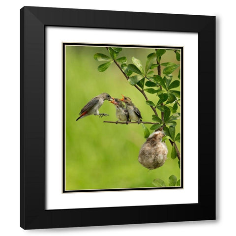 MotherS Love 2 Black Modern Wood Framed Art Print with Double Matting by Muliani Hartojo, Angela