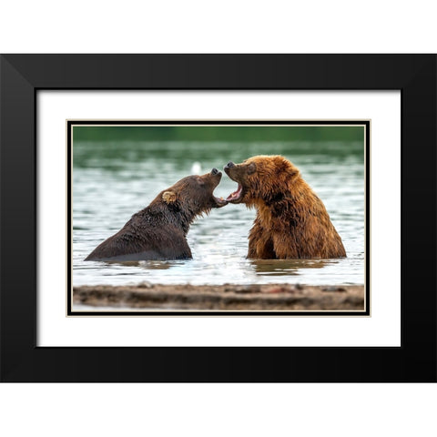 Mouth To Mouth Black Modern Wood Framed Art Print with Double Matting by Damico, Giuseppe