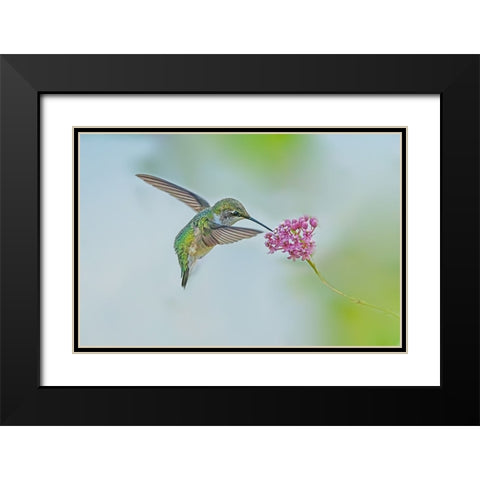 Let Me Eat! Black Modern Wood Framed Art Print with Double Matting by Lu, Ling