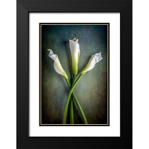 Tower Of Calla Black Modern Wood Framed Art Print with Double Matting by Berberich, Matthew