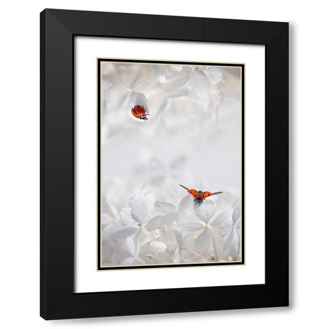 Ladybug Among Flowers Black Modern Wood Framed Art Print with Double Matting by Jacobs, Lydia