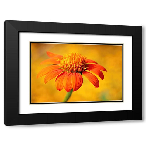 Orange Black Modern Wood Framed Art Print with Double Matting by Bencic, Bojan