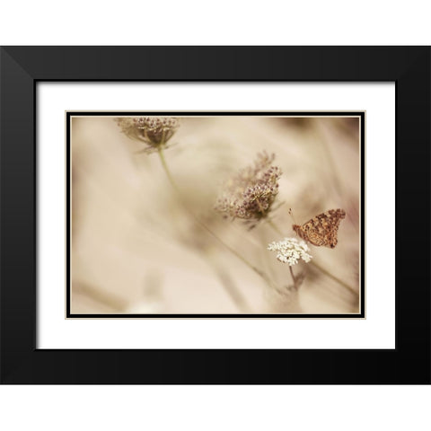 Butterfly Black Modern Wood Framed Art Print with Double Matting by van Deelen, Ellen