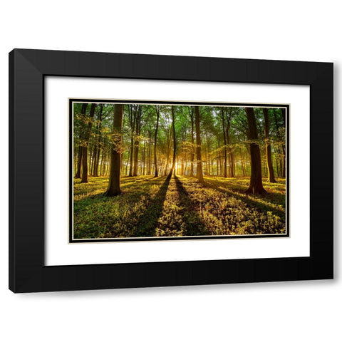 Forrest Light Black Modern Wood Framed Art Print with Double Matting by Keller