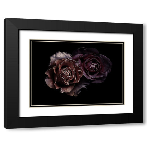 Roses Black Modern Wood Framed Art Print with Double Matting by Julie, Angel