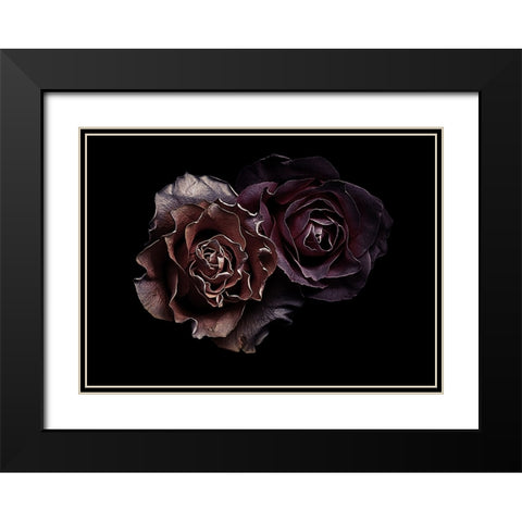 Roses Black Modern Wood Framed Art Print with Double Matting by Julie, Angel