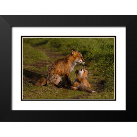 Mom Listen To Me Black Modern Wood Framed Art Print with Double Matting by Donnahom