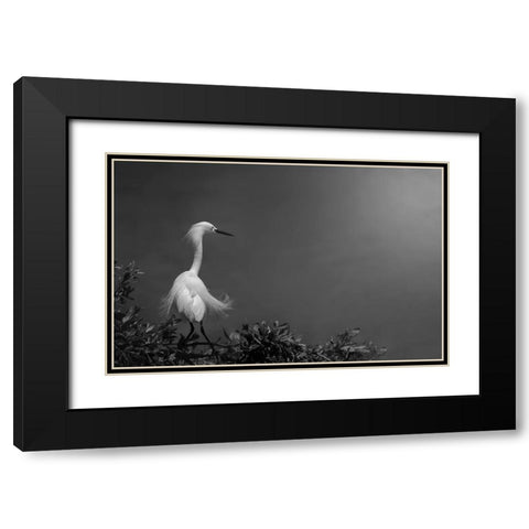 Head-Turner Black Modern Wood Framed Art Print with Double Matting by Pan, Yi