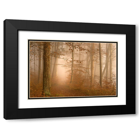 A year has gone Black Modern Wood Framed Art Print with Double Matting by Maier, Norbert