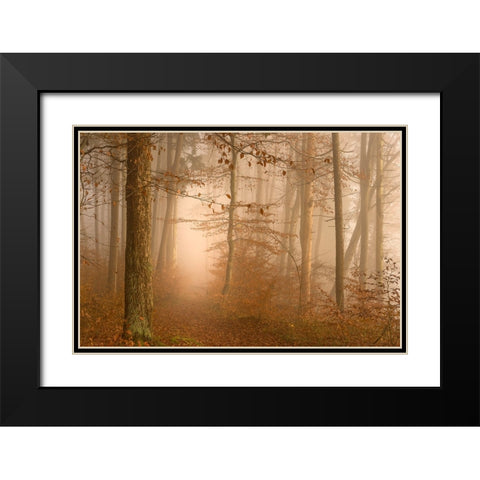 A year has gone Black Modern Wood Framed Art Print with Double Matting by Maier, Norbert