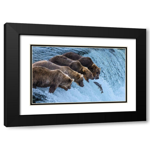 No Chance For Salmon Run Black Modern Wood Framed Art Print with Double Matting by Pingwei Pan, Joy