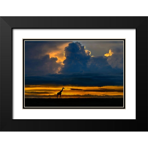 Giraffe At Sunset Black Modern Wood Framed Art Print with Double Matting by Ortega, Xavier