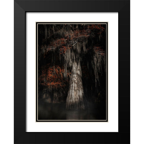 Cypress Tree Black Modern Wood Framed Art Print with Double Matting by Lu, Linda
