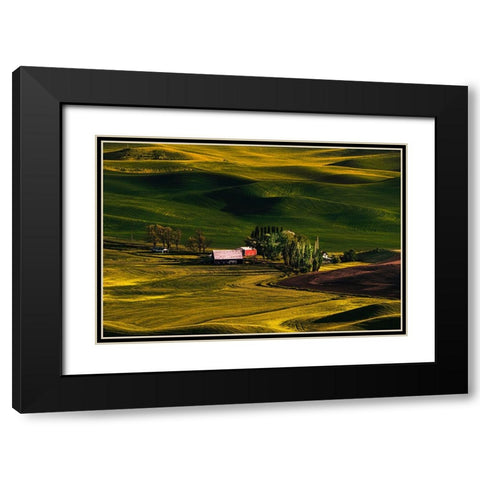 Palouse Wheat Fields Black Modern Wood Framed Art Print with Double Matting by Dickau, Kristel