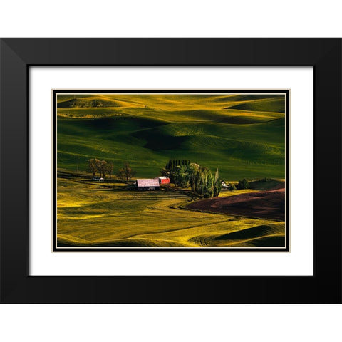 Palouse Wheat Fields Black Modern Wood Framed Art Print with Double Matting by Dickau, Kristel