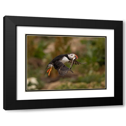 Return From Fishing Black Modern Wood Framed Art Print with Double Matting by Xu, Tony