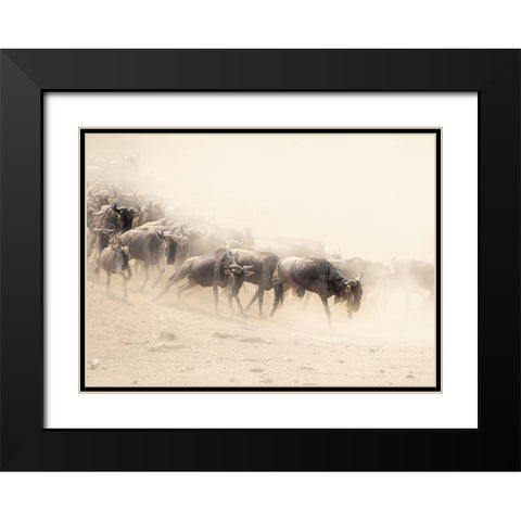 Dust And Dust Black Modern Wood Framed Art Print with Double Matting by Marx, Jaco