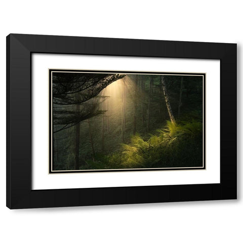Spotlight. Black Modern Wood Framed Art Print with Double Matting by Sugita, Masaki