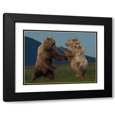 Wanna Dance? Black Modern Wood Framed Art Print with Double Matting by Gill, Barbara