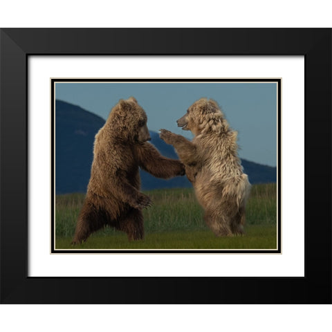 Wanna Dance? Black Modern Wood Framed Art Print with Double Matting by Gill, Barbara