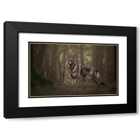 WhoS Afraid? Black Modern Wood Framed Art Print with Double Matting by Kuplenk, Nika