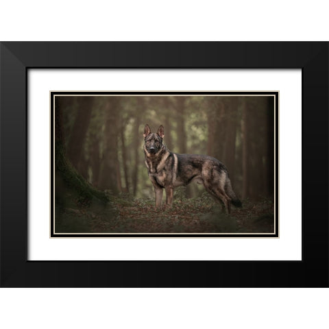 WhoS Afraid? Black Modern Wood Framed Art Print with Double Matting by Kuplenk, Nika