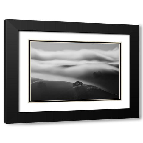 A Tree In Fog Black Modern Wood Framed Art Print with Double Matting by Mao, Dianne