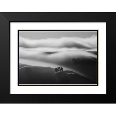 A Tree In Fog Black Modern Wood Framed Art Print with Double Matting by Mao, Dianne