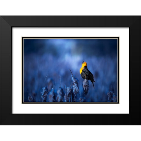 Sing A Song Black Modern Wood Framed Art Print with Double Matting by Zhao, Alex
