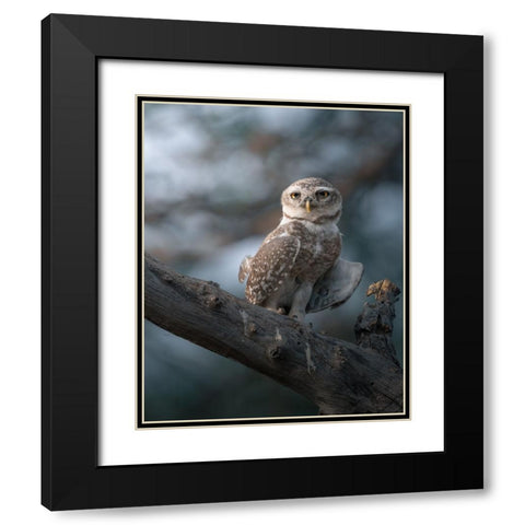 The Wise Of The Jungle Black Modern Wood Framed Art Print with Double Matting by Rawat, Chaitanya