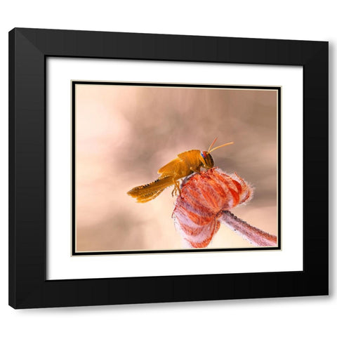 Hamburger For The Meal... Black Modern Wood Framed Art Print with Double Matting by Dufour, Thierry