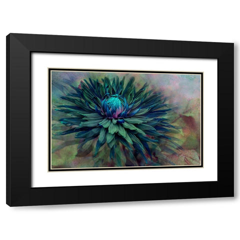 Twilight Black Modern Wood Framed Art Print with Double Matting by Parker, Jacky