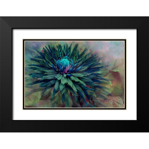 Twilight Black Modern Wood Framed Art Print with Double Matting by Parker, Jacky