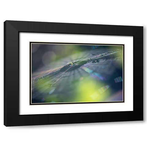 Colorful Dream Black Modern Wood Framed Art Print with Double Matting by Deng, Ivy