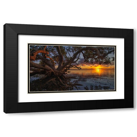Sunrise At Nudgee Beach Black Modern Wood Framed Art Print with Double Matting by Papamanolis, Emanuel