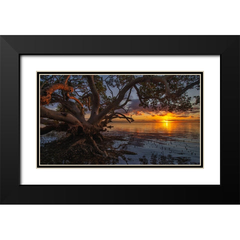 Sunrise At Nudgee Beach Black Modern Wood Framed Art Print with Double Matting by Papamanolis, Emanuel