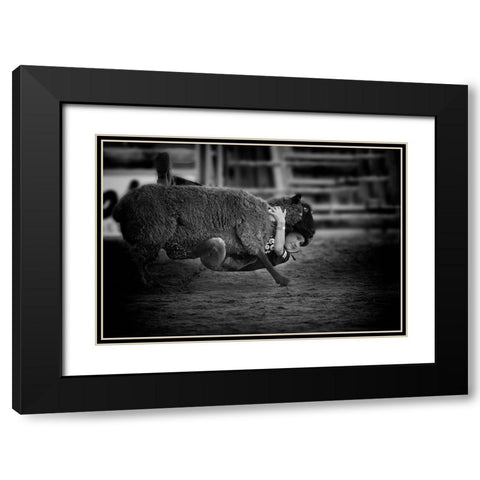 The Brave  Little Cowboy Is  Smile Black Modern Wood Framed Art Print with Double Matting by Liang, Ken