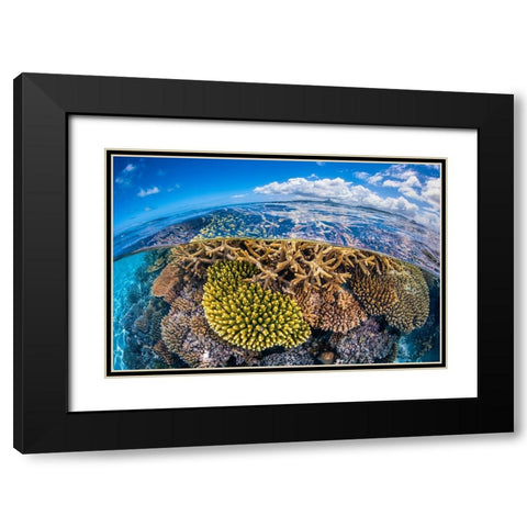 At Low Tide Black Modern Wood Framed Art Print with Double Matting by Gabriel, Barathieu