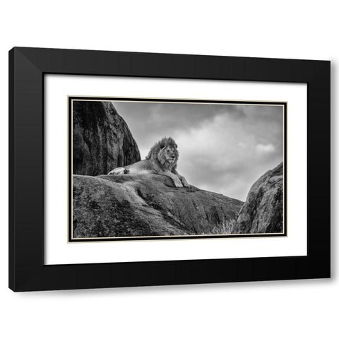 The King! Black Modern Wood Framed Art Print with Double Matting by Khataw, Ali