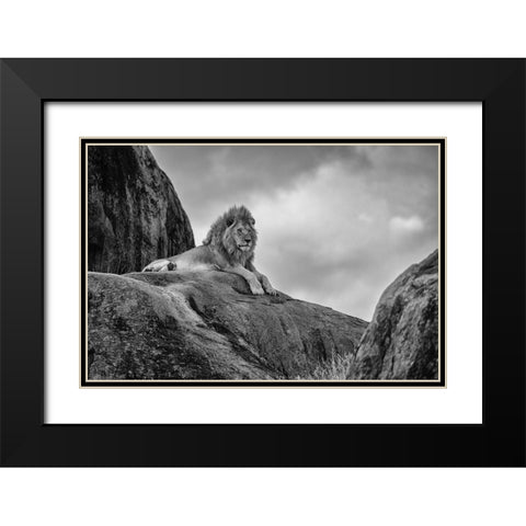 The King! Black Modern Wood Framed Art Print with Double Matting by Khataw, Ali