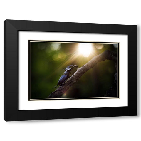 Way To The Sun Black Modern Wood Framed Art Print with Double Matting by Bykanova, Victoria