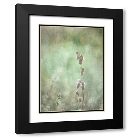 Bubbleliscious Black Modern Wood Framed Art Print with Double Matting by Van Helden, Elisabeth