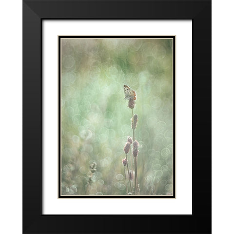 Bubbleliscious Black Modern Wood Framed Art Print with Double Matting by Van Helden, Elisabeth