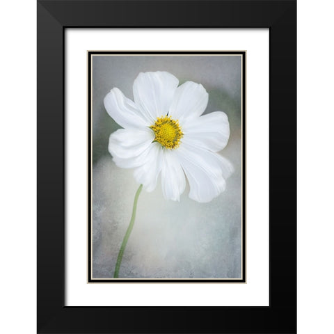 White Calliopsis Black Modern Wood Framed Art Print with Double Matting by GaoSL