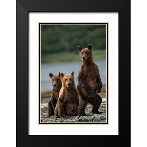 Do You Hear Something? Black Modern Wood Framed Art Print with Double Matting by Gill, Barbara