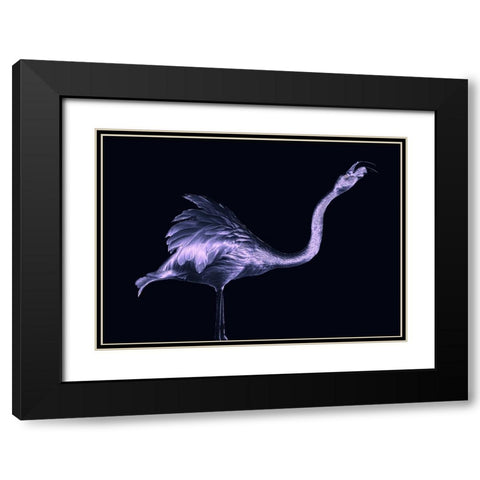 Silver Flamingo Black Modern Wood Framed Art Print with Double Matting by Tsikiridis, Georgios
