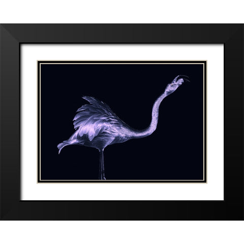 Silver Flamingo Black Modern Wood Framed Art Print with Double Matting by Tsikiridis, Georgios