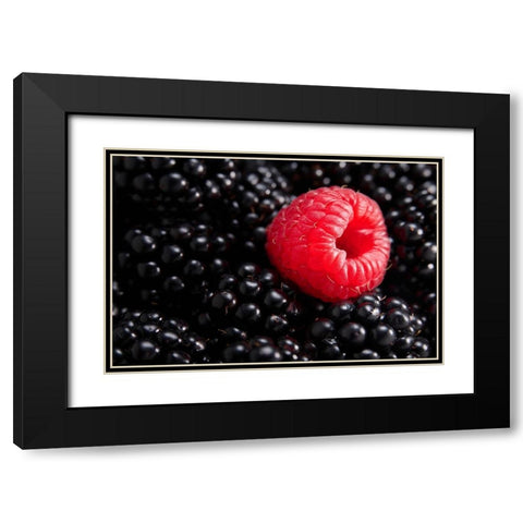 Berry different Black Modern Wood Framed Art Print with Double Matting by Sokac, Drazen